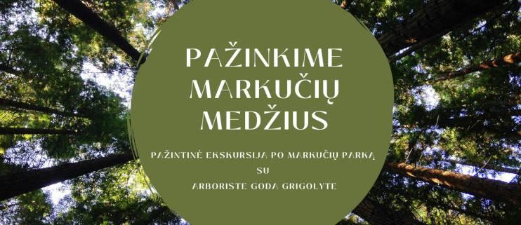 pavadinimas, medžių viršūnės